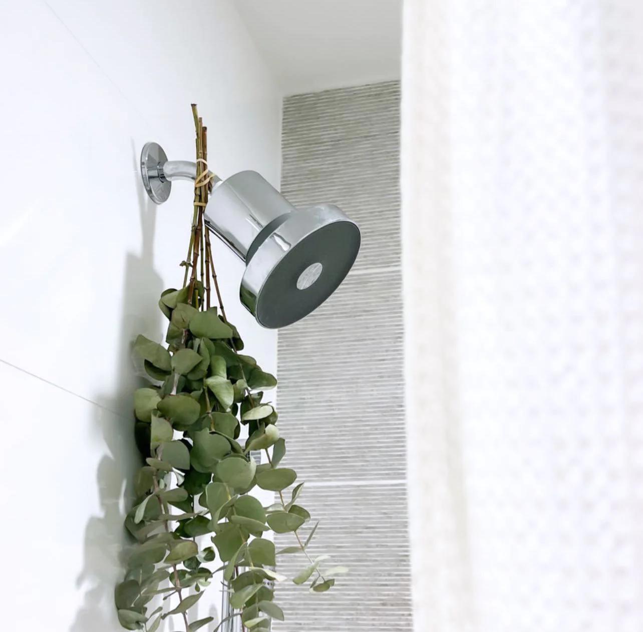 The Jolie Filtered Shower Head - Living with Ivey