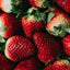 Vitruvi | Sweet Cherry Drive Car Air Freshener Refill