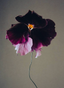 The Quiet Botanist | Moody Blooms Candle