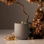 Homecourt | Mandarin Basile Candle