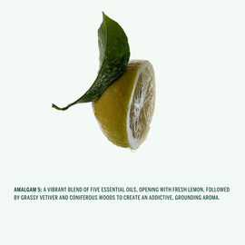 Corpus | Amalgam 5 Hand Cream