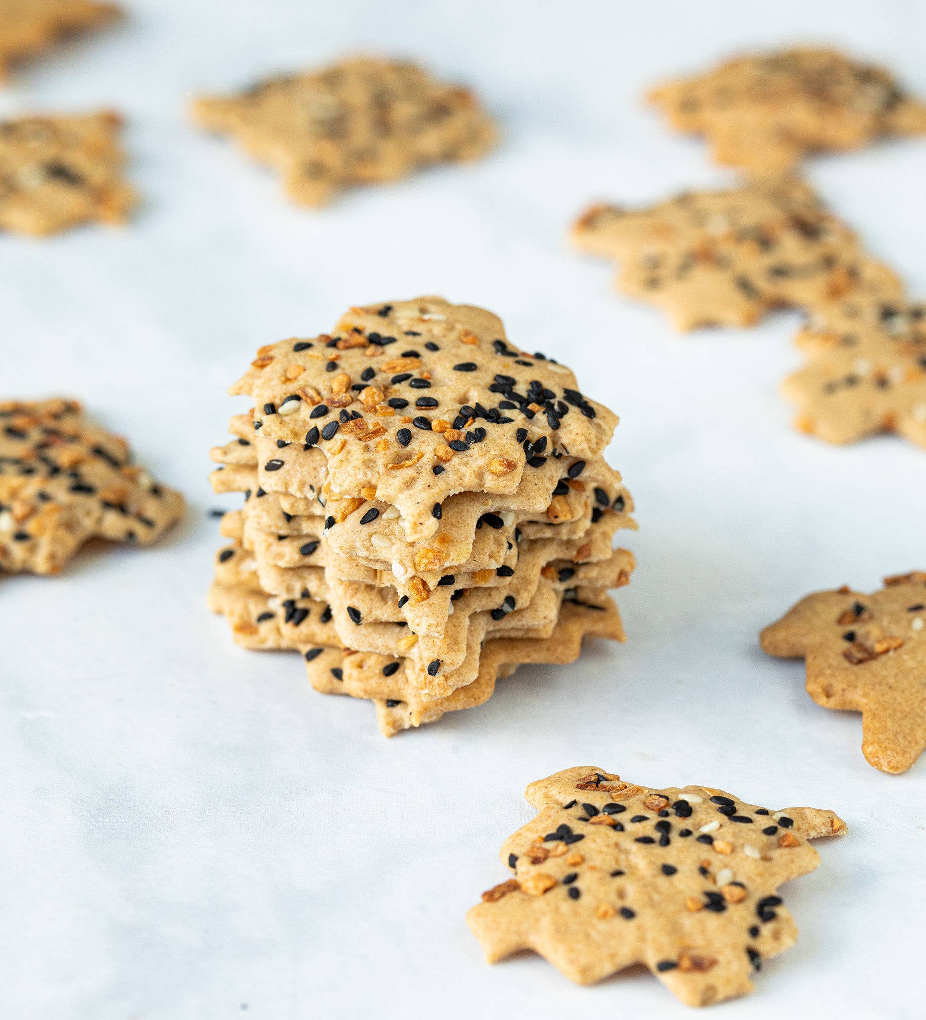 Everything Sourdough Crackers