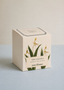 The Quiet Botanist | The Exotics Candle