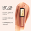 Luxury Lip Oil - Elixir (Collective)