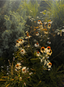 The Quiet Botanist | Garden Stories Candle