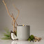 Homecourt | Mandarin Basile Candle