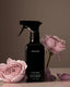Homecourt | Cece Surface Cleaner