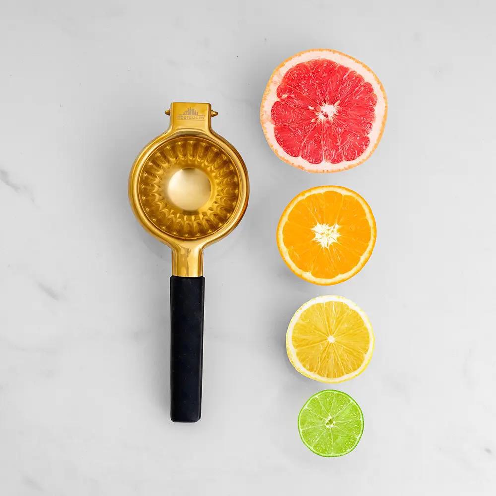 Citrus Juicer - Living with Ivey