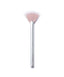 Skin2Skin Fan Brush - Living with Ivey
