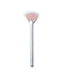 Skin2Skin Fan Brush - Living with Ivey