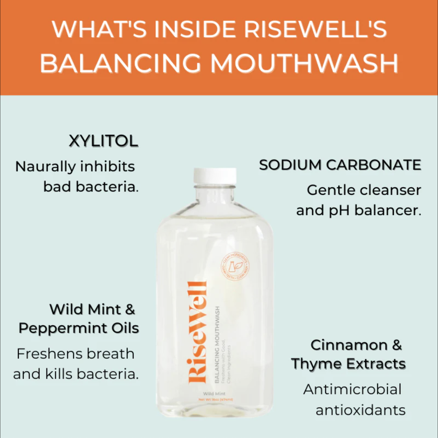 Balancing Mouthwash Wild Mint - Living with Ivey