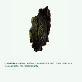 Corpus | Cedar Flora Natural Stick Deodorant