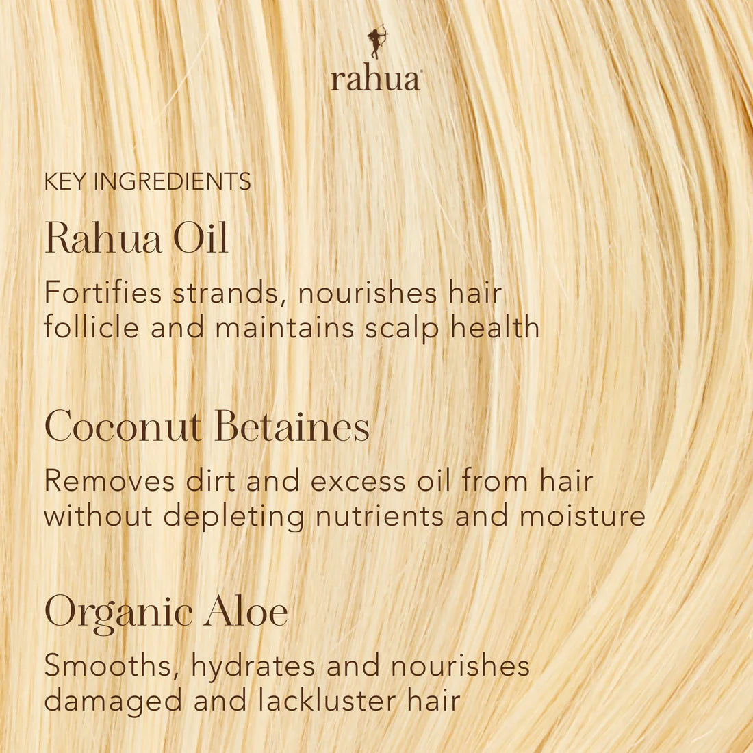 Rahua Classic Shampoo - Living with Ivey