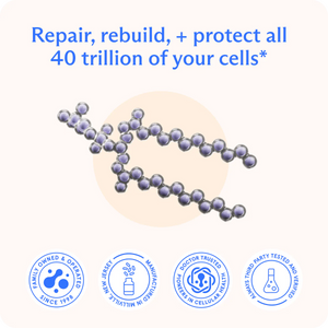 BodyBio | Liposomal Phospholipid Complex 8oz Liquid