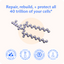 BodyBio | Liposomal Phospholipid Complex 60 Softgel