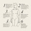Esker | Lymphatic Drainage Dots