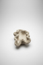 RowHouse | Long Coral Planter