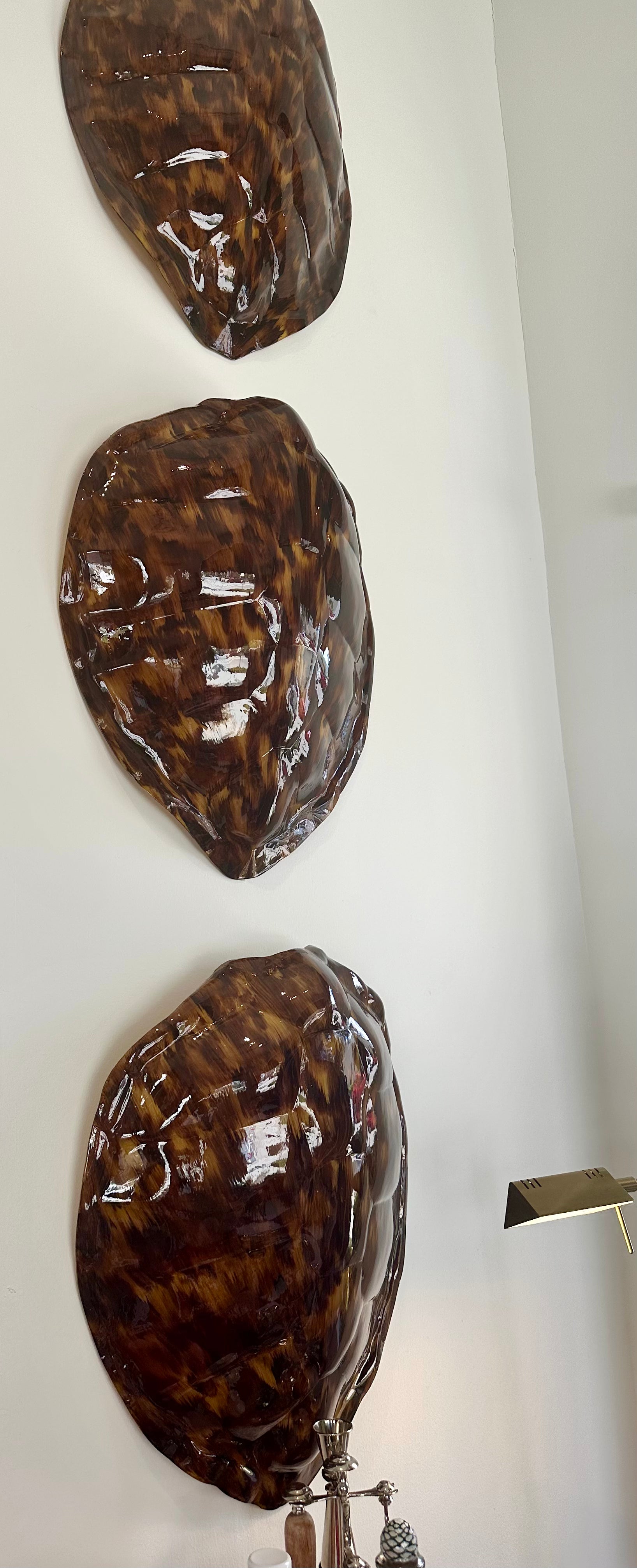 Toirstoise Shell Large Tortoise Shell — Living with Ivey