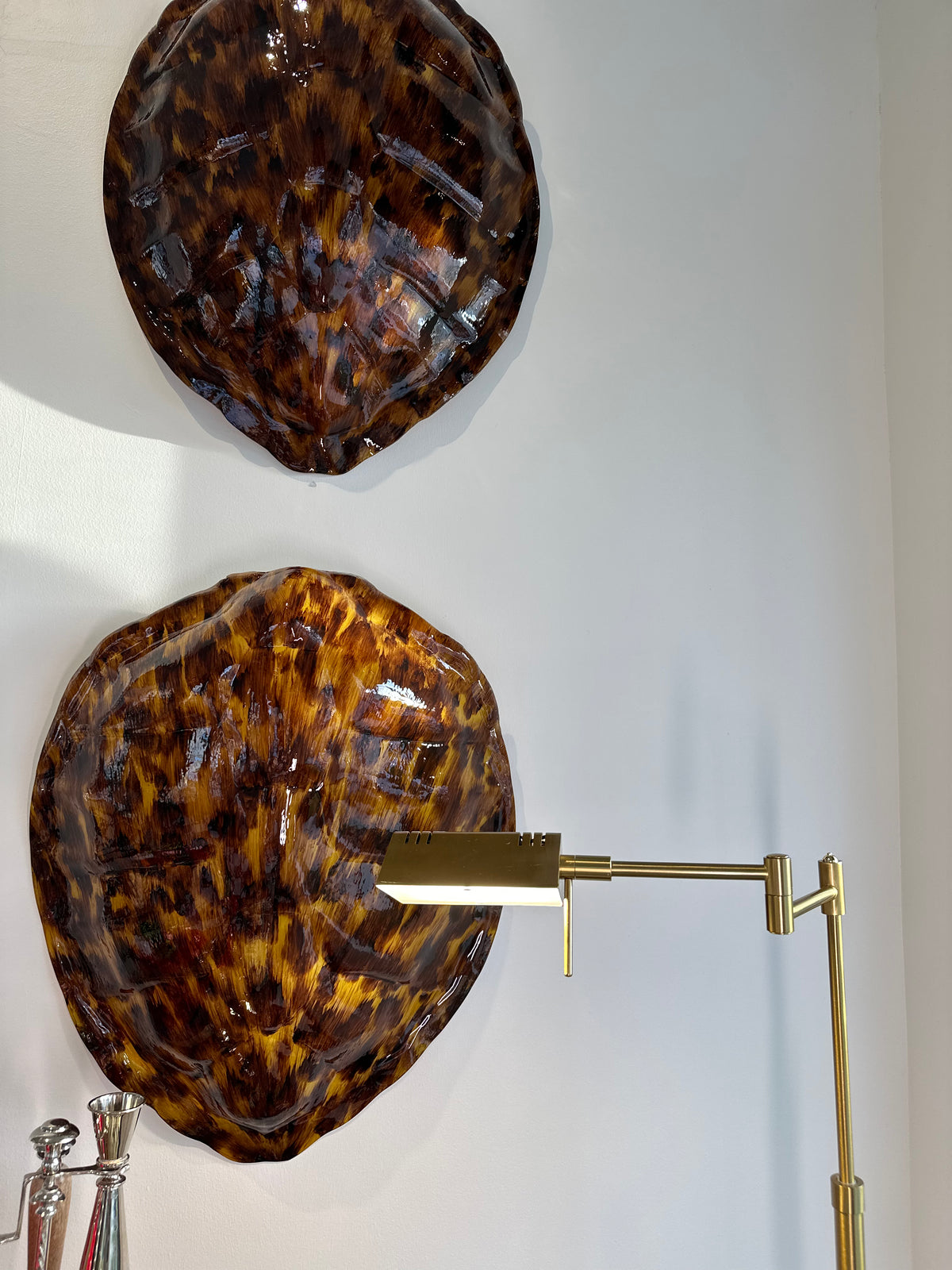 Large Tortoise Shell