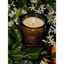 Night Blooming Jasmine & Damask Rose Candle