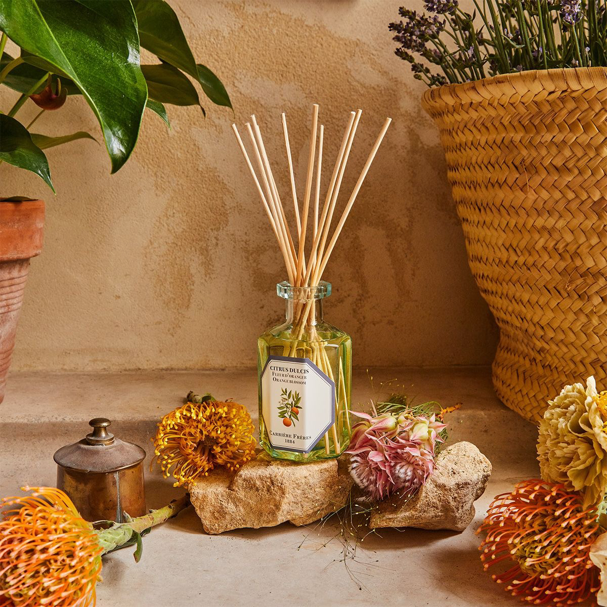 Orange Blossom Diffuser