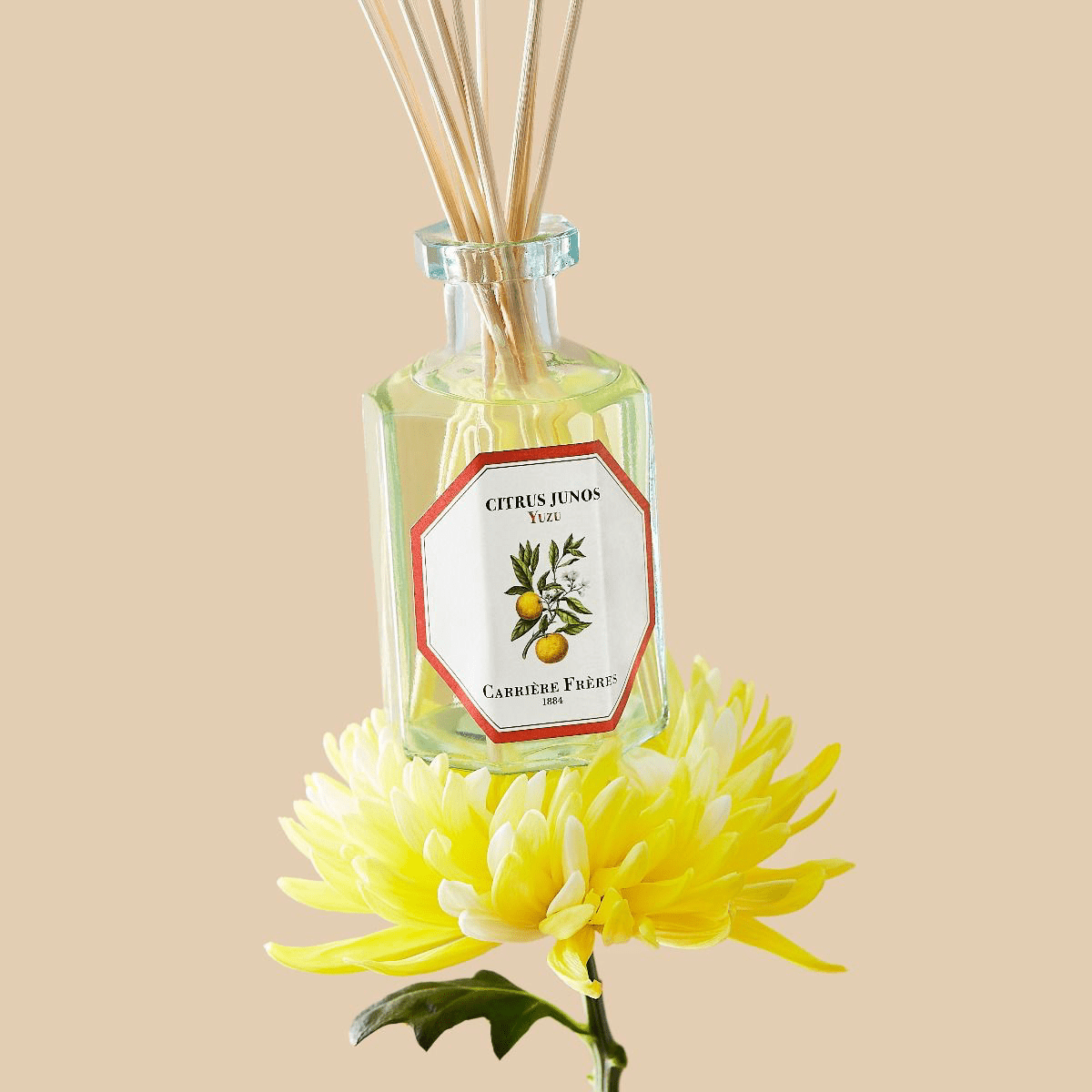 Citrus Yuzu Diffuser - Thumbnail 3