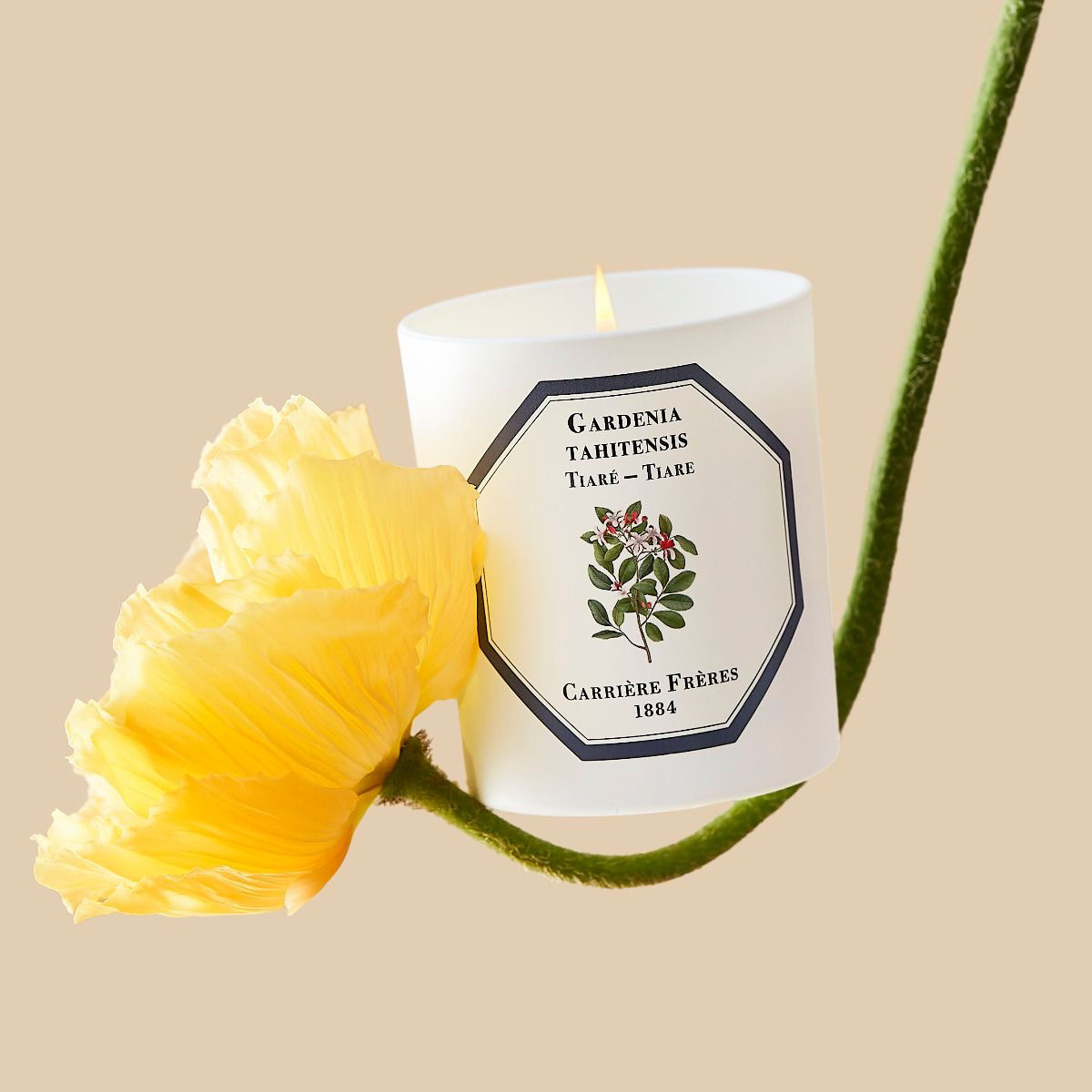 Tiare (Gardenia) Candle