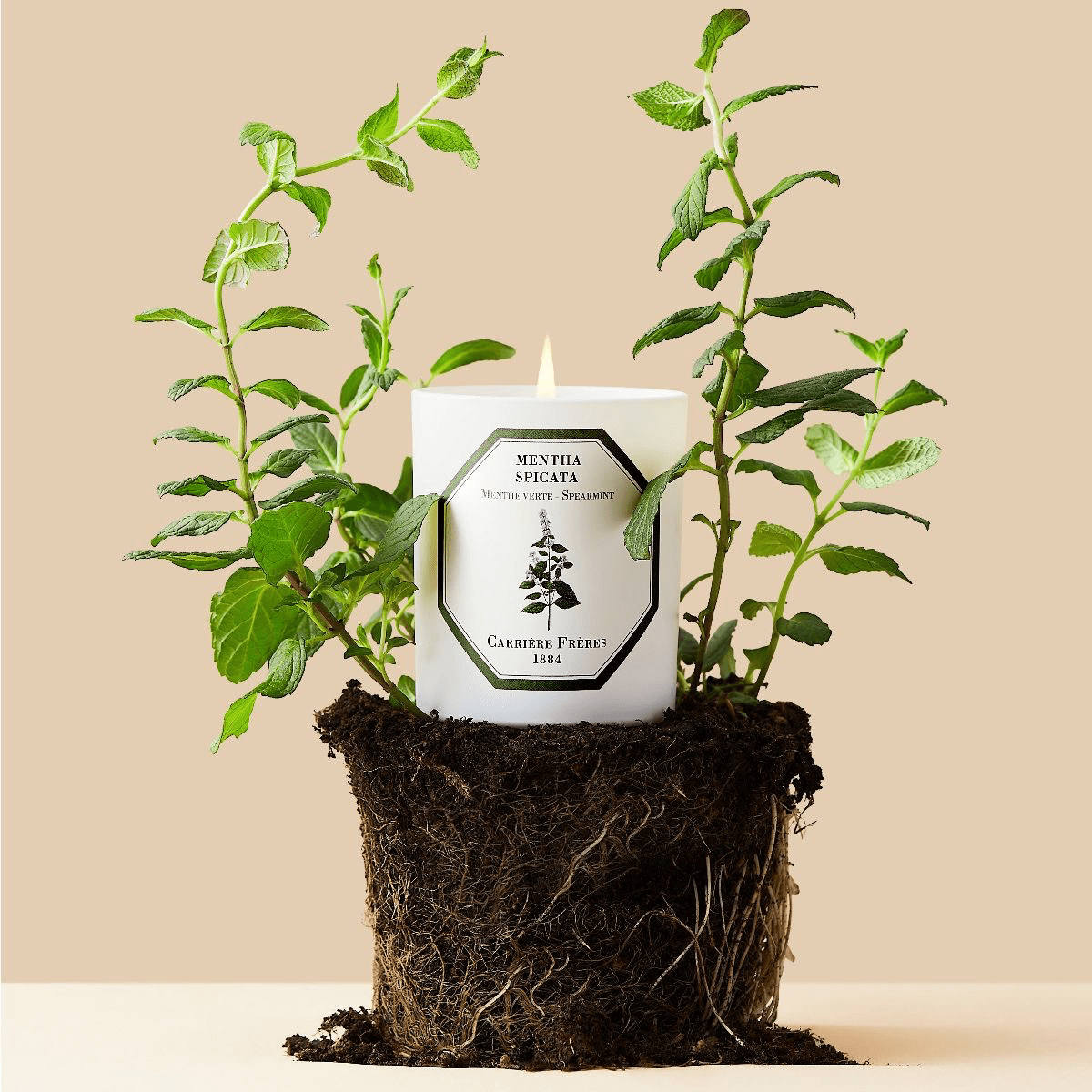 Spearmint Candle - Thumbnail 2