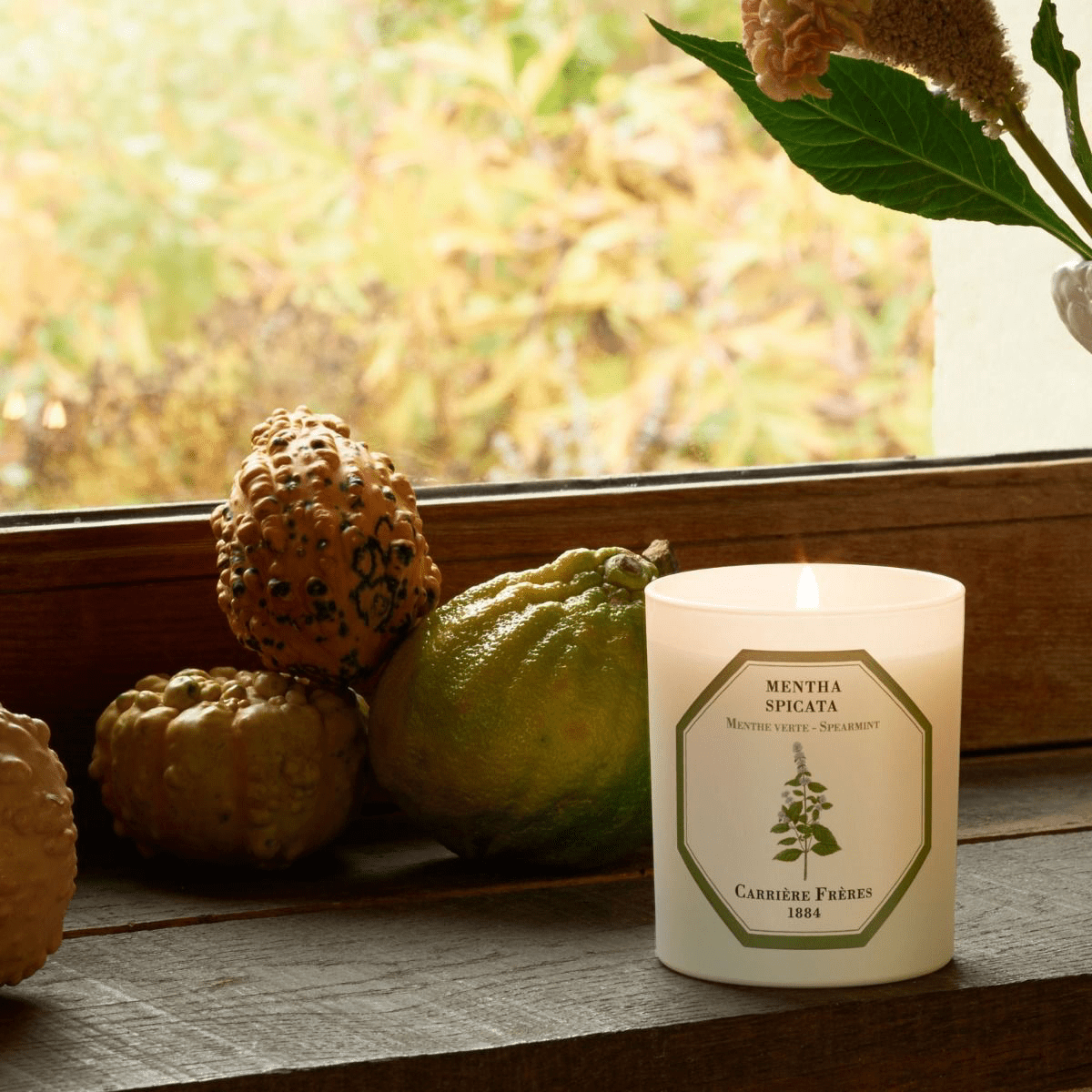 Spearmint Candle - Thumbnail 5