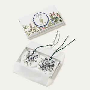 Lavender Botanical Palet