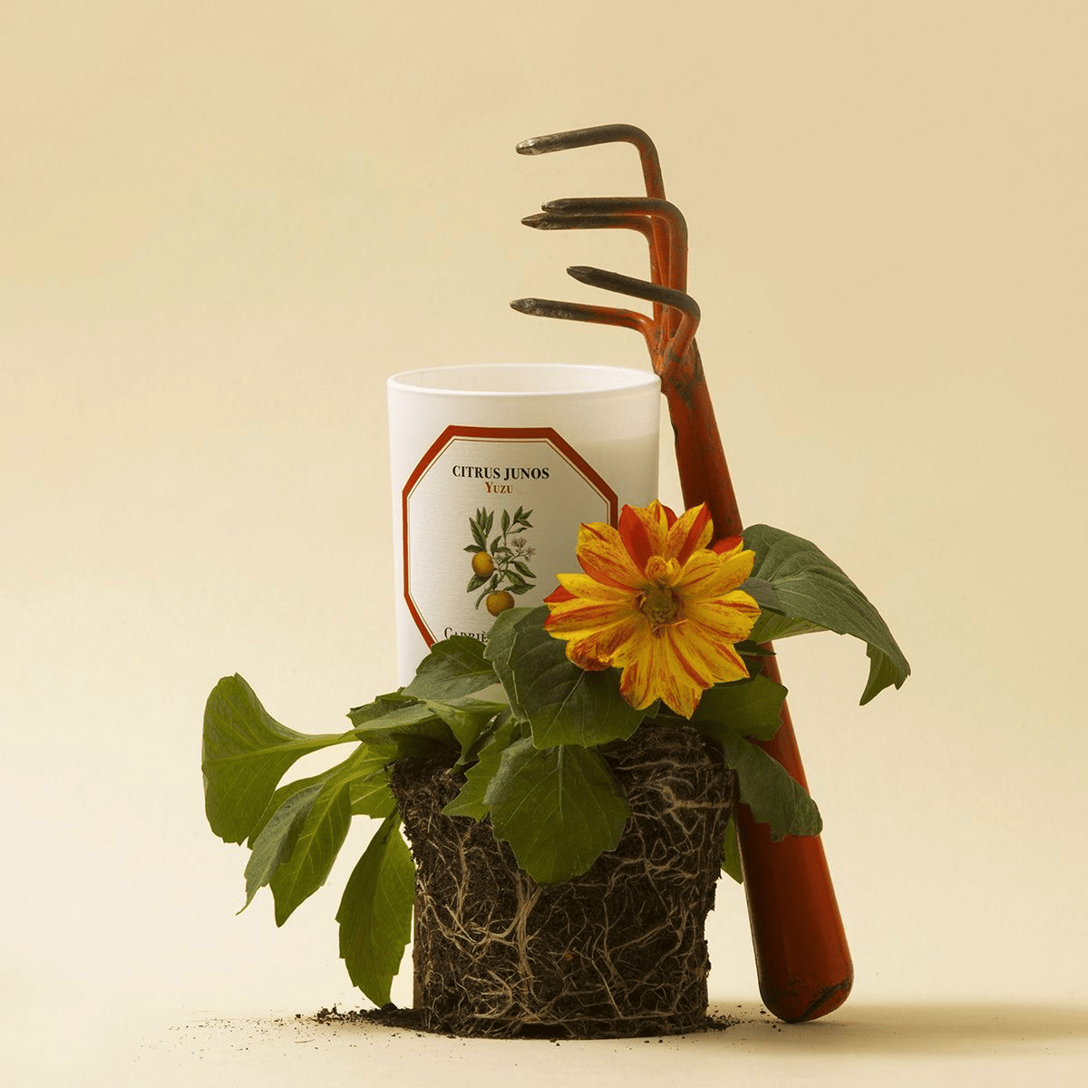 Citrus Yuzu Candle - Thumbnail 3