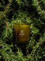 Flamingo Estate | Climbing Tuscan Rosemary Candle - Living with Ivey
