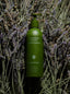 Tulsi & California Lavender | Conditioner