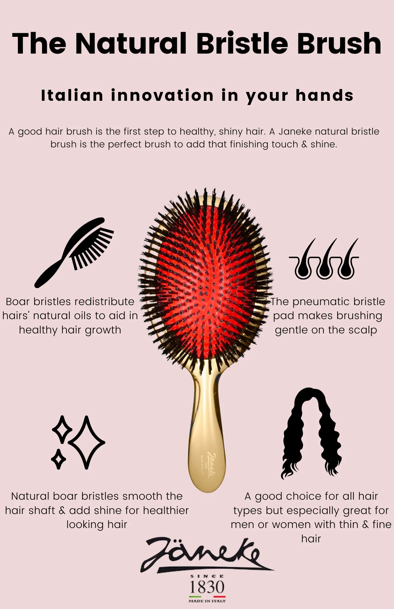 Large Natural Bristle Hairbrush