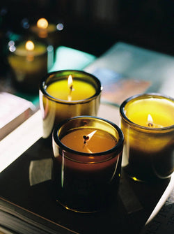 Flamingo Estate | Climbing Tuscan Rosemary Candle - Living with Ivey