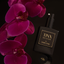 Tinx Sex Elixir by Saint Jane (Collective)