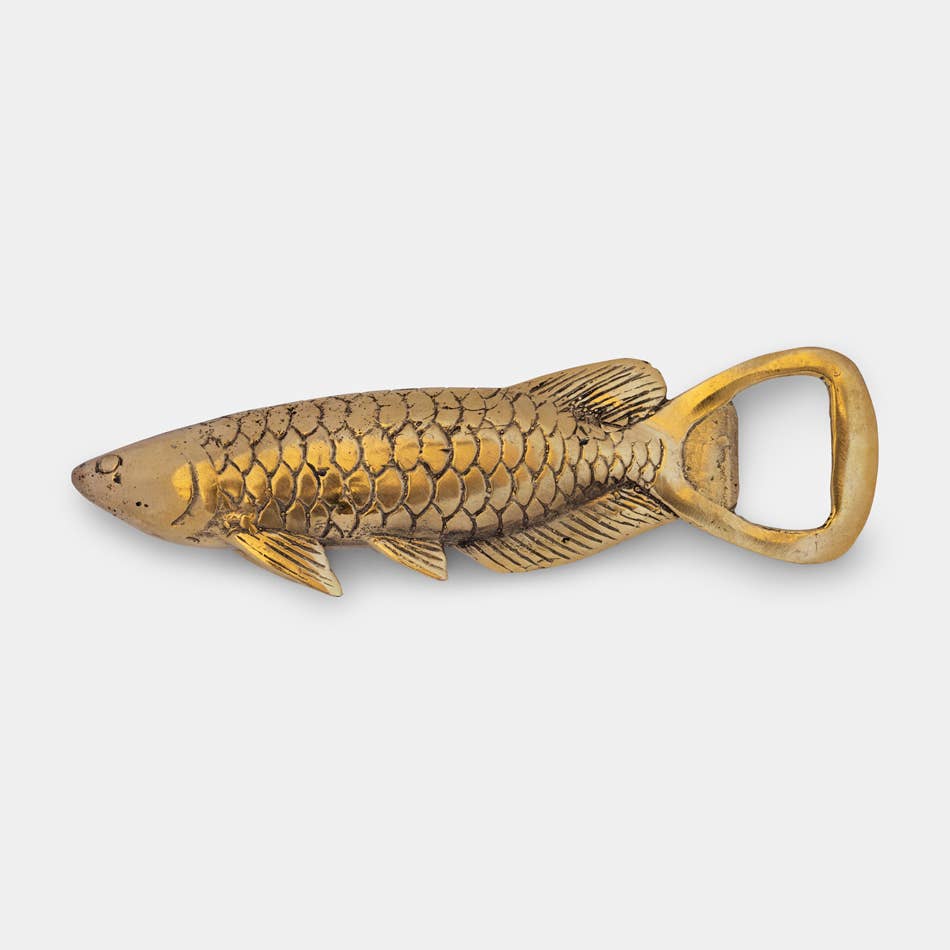 Brass Opener Rasbora Fish - Living with Ivey