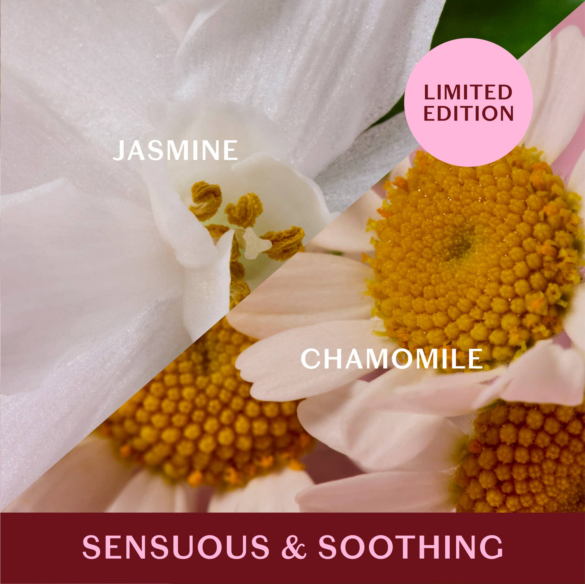 Jasmine & Chamomile | Moisturizing Lotion Bar