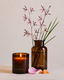 The Quiet Botanist | The Exotics Candle