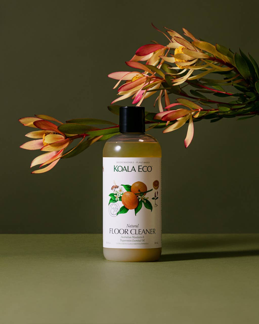 Koala Eco Floor Cleaner - Thumbnail 3