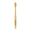 Bamboo Toothbrush - RiseWell - Living with Ivey