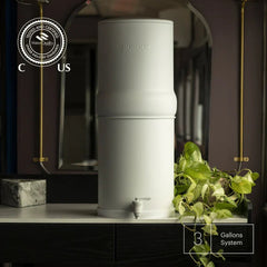 Boroux | Legacy Water Filter System - Boroux - Living with Ivey