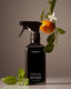 Homecourt | Cece Surface Cleaner