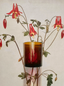 The Quiet Botanist | Garden Stories Candle