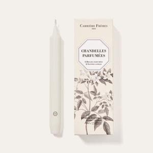 Carrière Frères | Jasmine Taper Candles - Carrière Frères - Living with Ivey