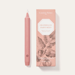 Carrière Frères | Tomato Taper Candles - Carrière Frères - Living with Ivey