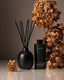 Cece Fragrance Reed Diffuser - Homecourt - Living with Ivey
