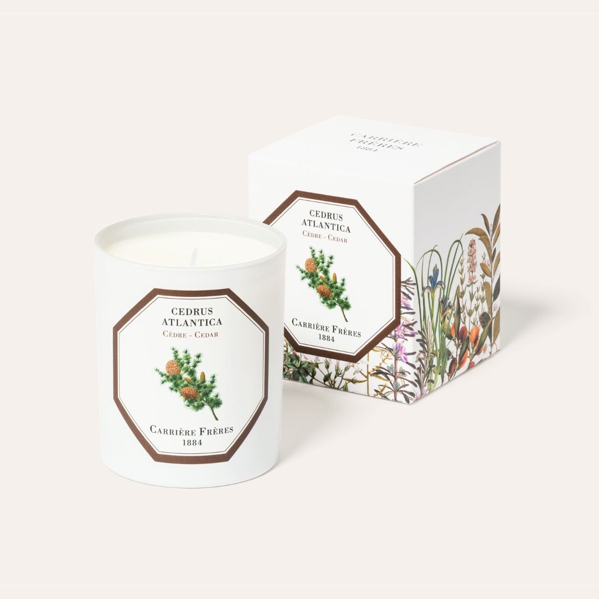 Carriere Freres Scented Candle, Cedar - Cedrus Atlantica