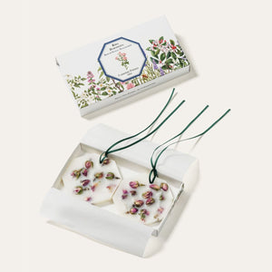 Damask Rose Botanical Palet