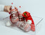 Shuug | Harissa Hot Sauce